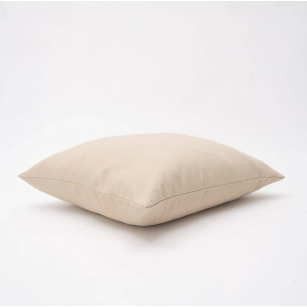 18”x18” Tristin Solid Indoor/Outdoor Square Throw Pillow  Peach-Freshmint-070